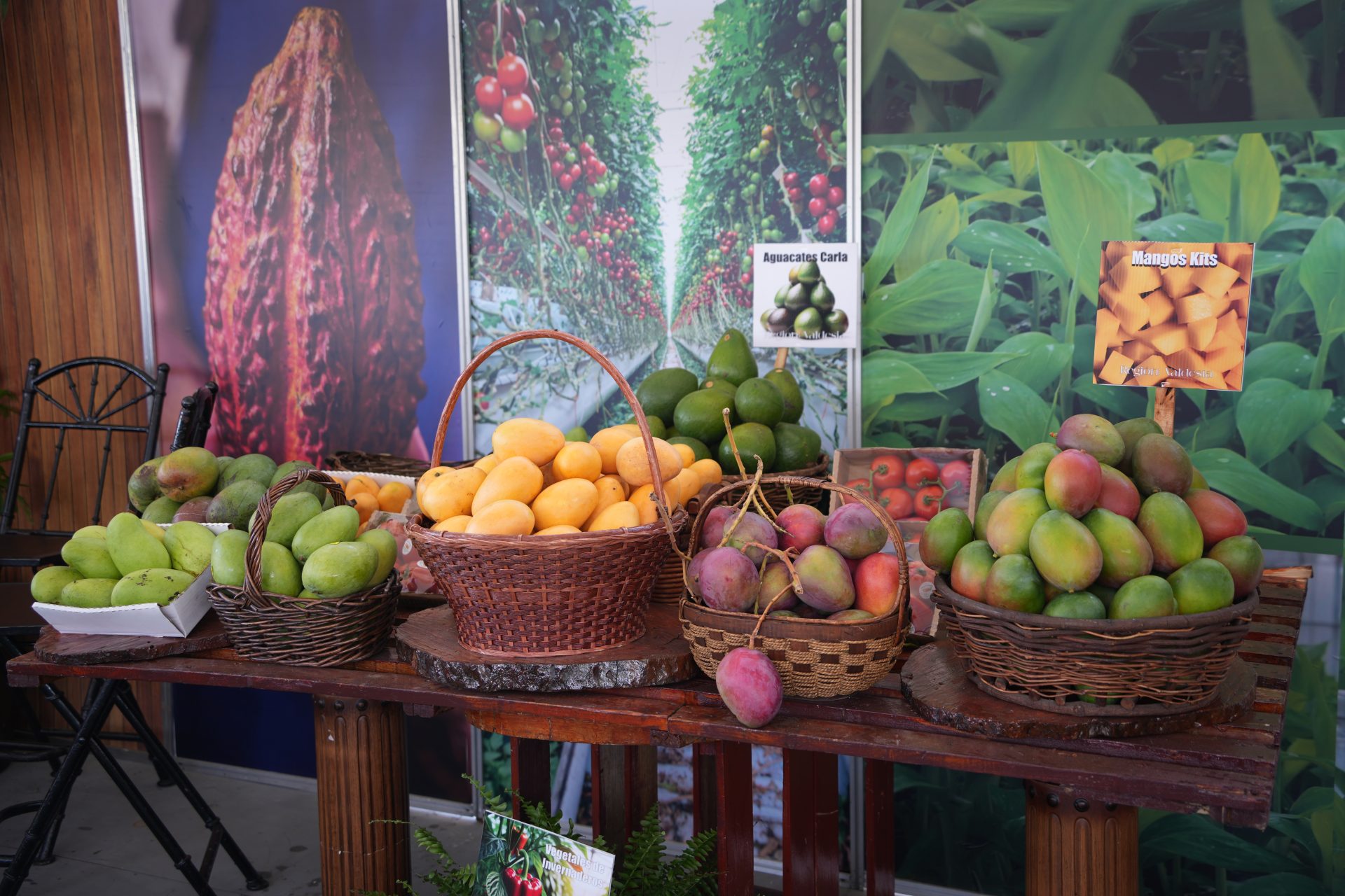 Expo Mango 2026 propicia encuentro entre la Universidad ISA y el sector productivo - Imagen 3
