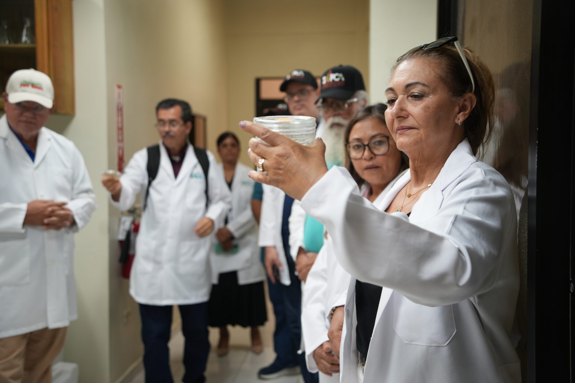 Intercambio académico y científico fortalece vínculos entre República Dominicana y Puerto Rico - Imagen 2
