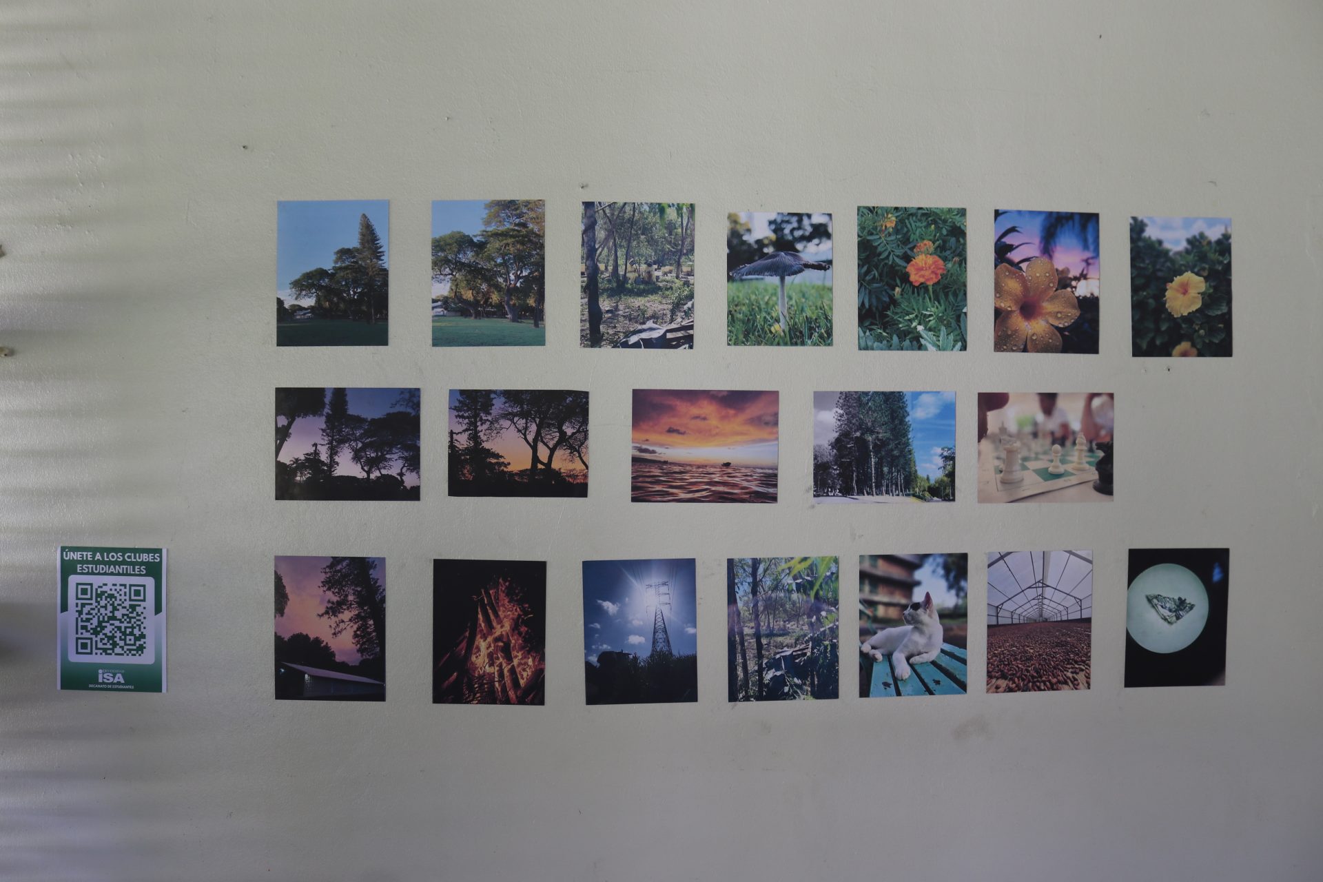 Exposición de Artes Visuales “El campus es mi taller” promueve la creatividad estudiantil - Imagen 2
