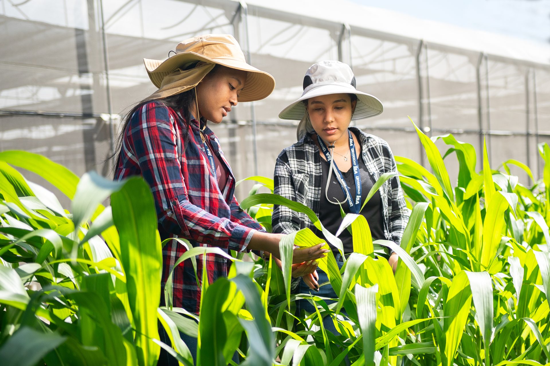 Ingeniería Agronómica