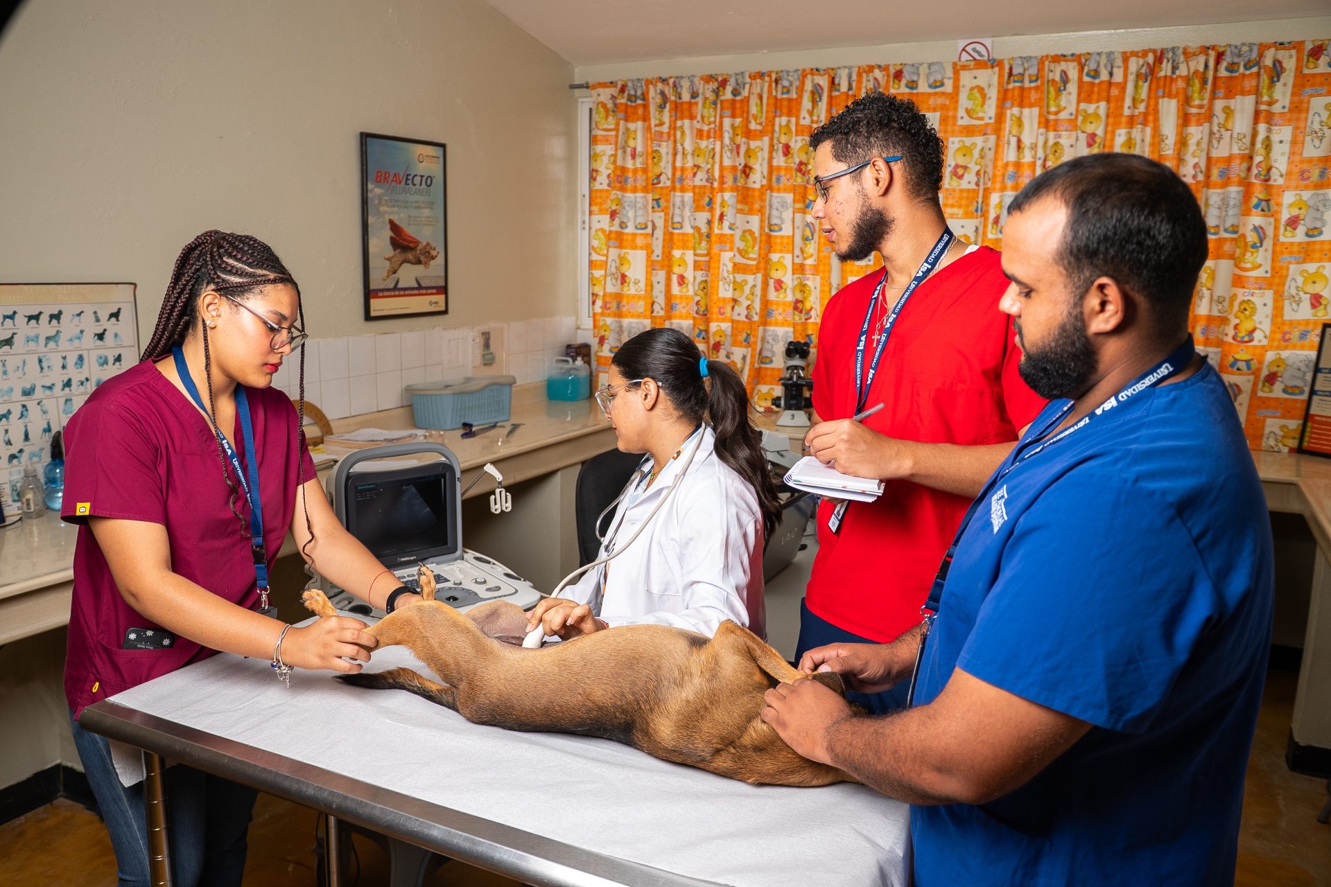 Medicina Veterinaria