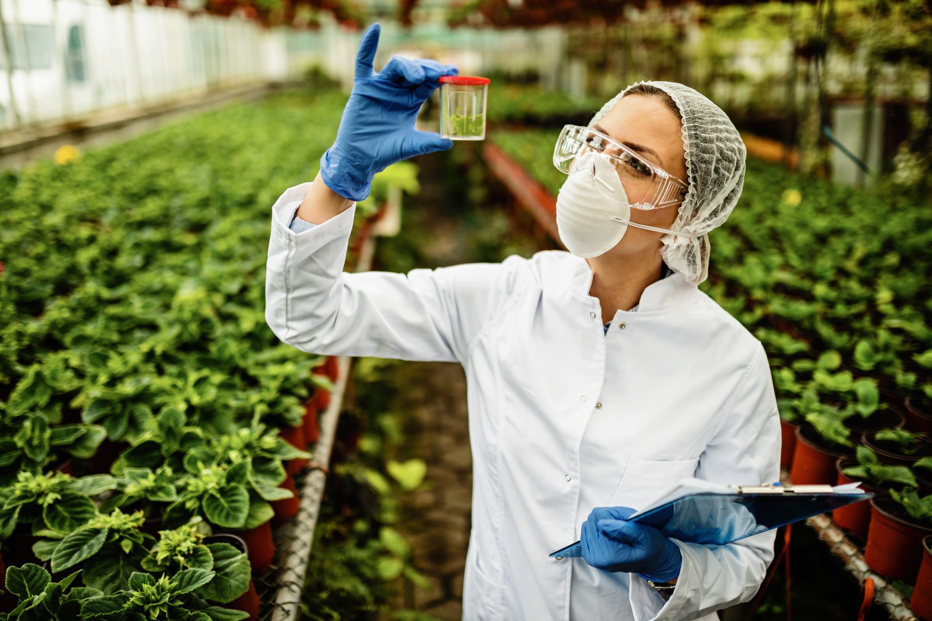 Maestría en Protección Vegetal (MPV)
