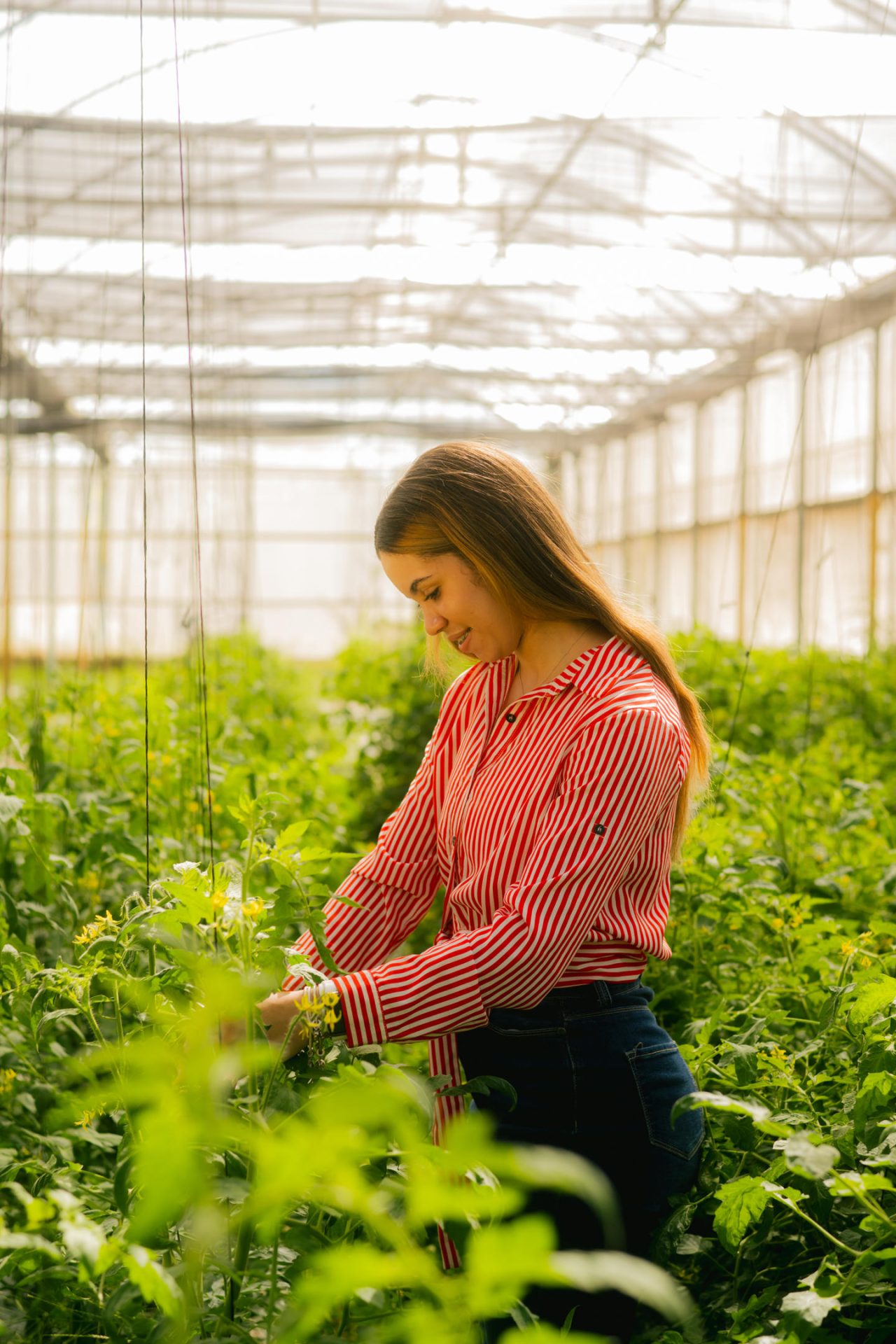 Alimentos, Agricultura y Medio Ambiente